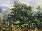 Jules Coignet The Old Oak in the Forest of Fontainebleau oil on canvas
